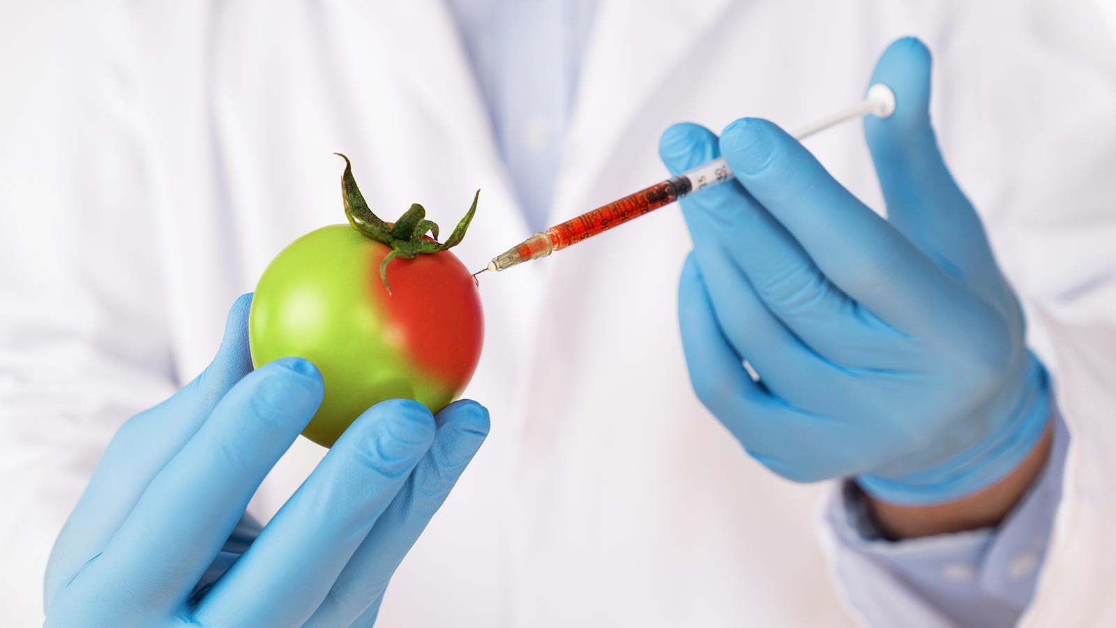 Qué es un alimento modificado geneticamente